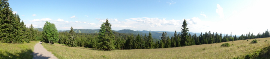 Am Feldberg