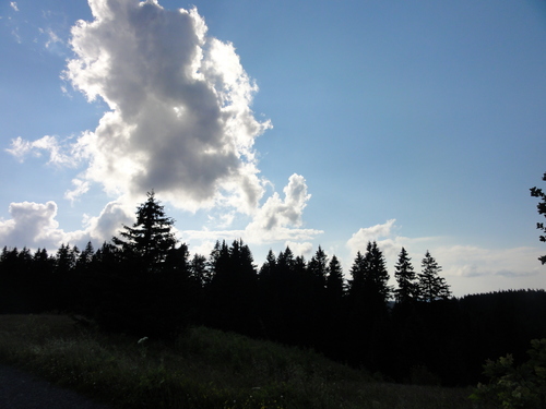 Am Feldberg