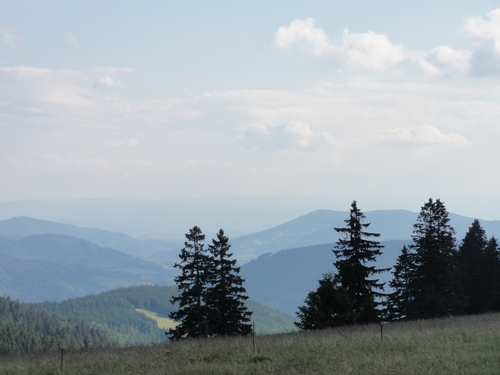 Am Feldberg