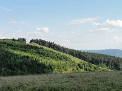 Am Feldberg