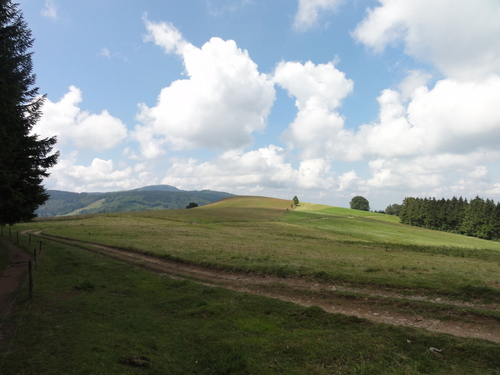 Blick auf den Belchen