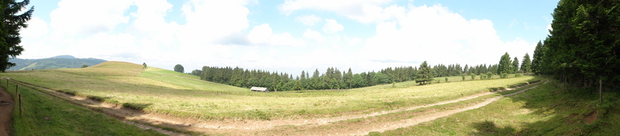 Blick auf den Belchen