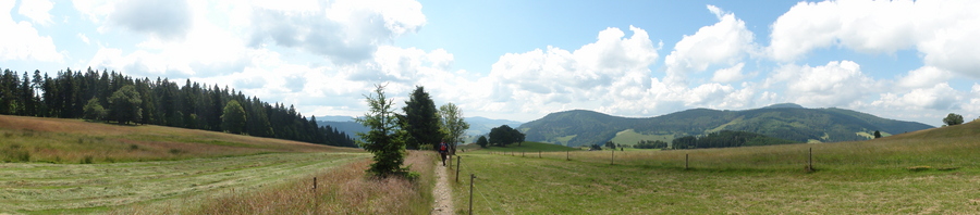 Blick auf den Belchen