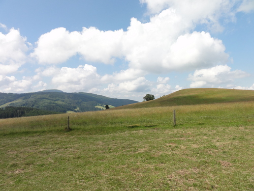 Blick auf den Belchen