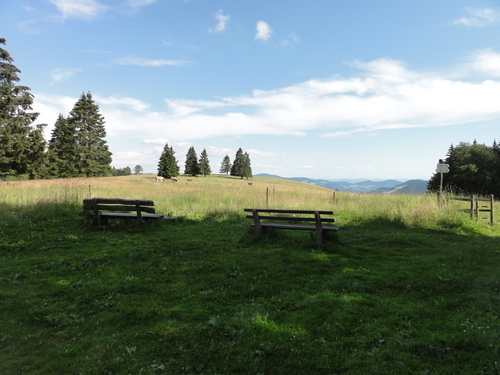 Obere Stuhlebene bei Schönau