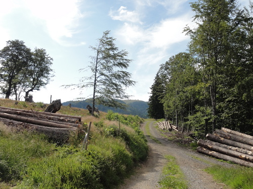 Obere Stuhlebene bei Schönau