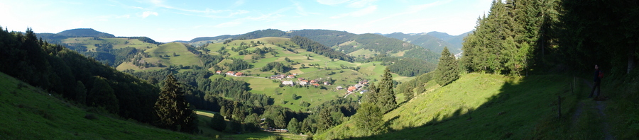 Vor Schönau