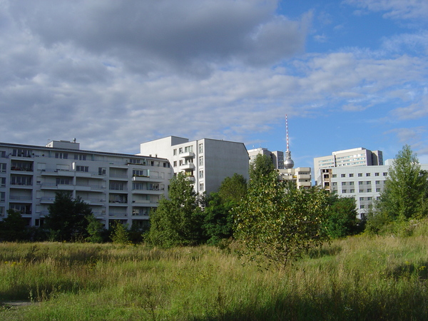 tv tower over todesstreifen