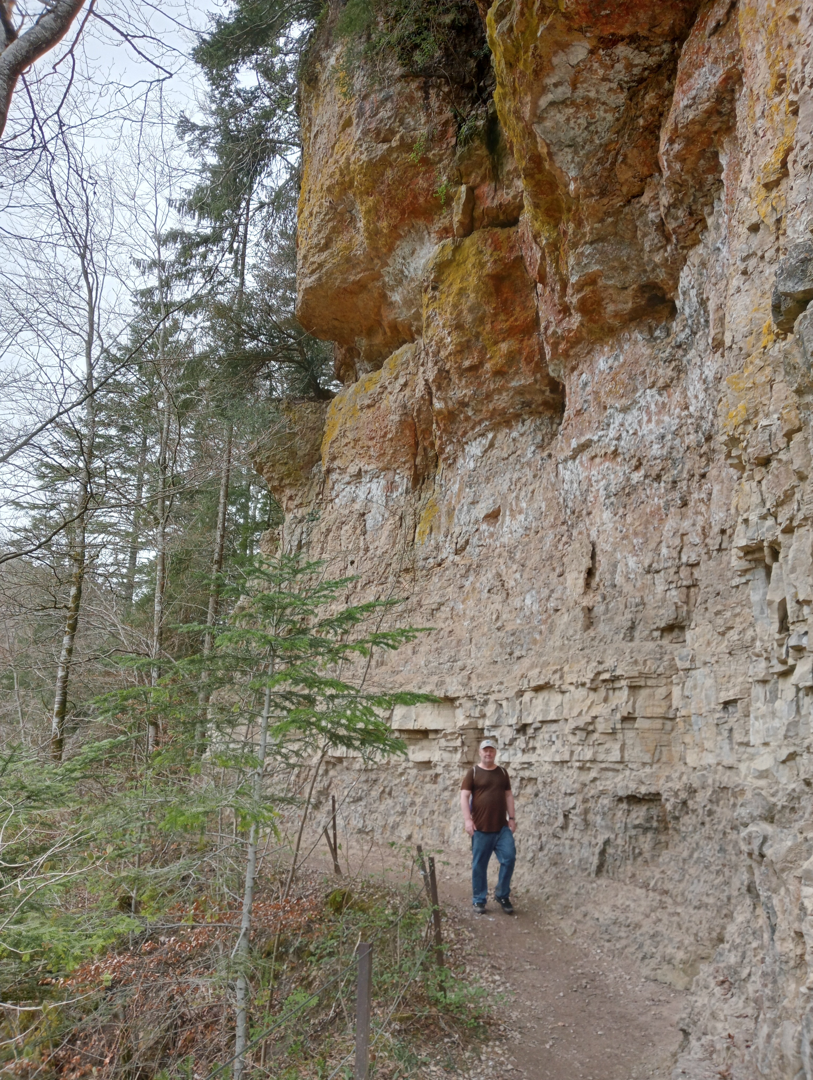 ML in der Wutachschlucht